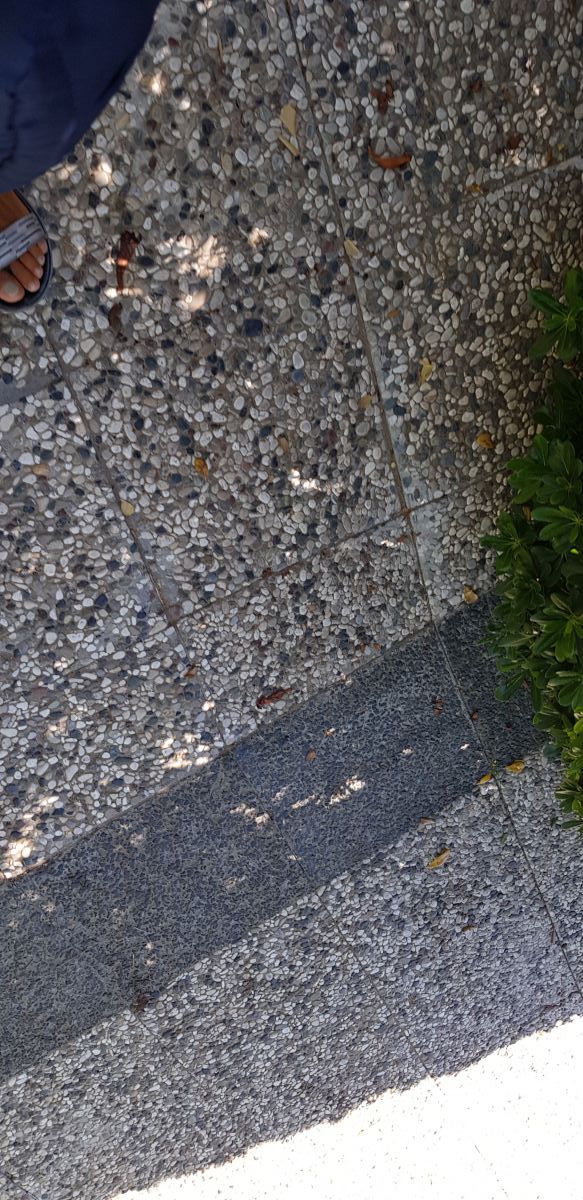 imagini hotel PALOMA OCEANA